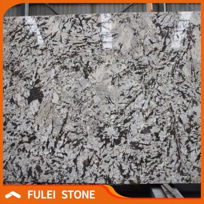 China Building& multifamily & hospitality & Real Estate Brazilian Granite Exotic White Aspen White Granite 2cm Slabs for sale