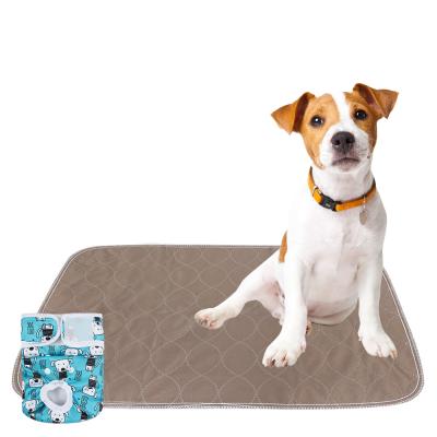 China Famicheer BSCI Fashion Microfiber Dog Viable Wee Pad New Fashion Dog Wee Training Pads Washable Training Pads Absorbent for sale