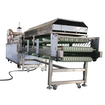 China Hotels Grain Product Pasta Maker Machine Tortilla Process Making Machine for sale