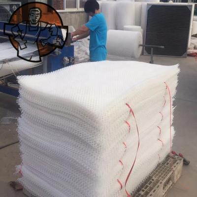 China 2019 Hot Selling High Quality PE Plastic Flat Mesh For Broiler Home for sale