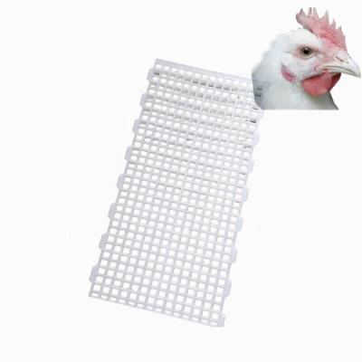 China Farms Made in China Durable Plastic Chicken Flooring for sale