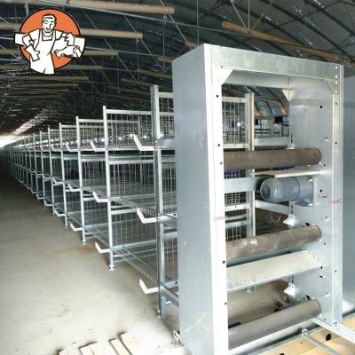 China Automatic Farms Broiler Poultry Project Cage Cage For Broiler for sale