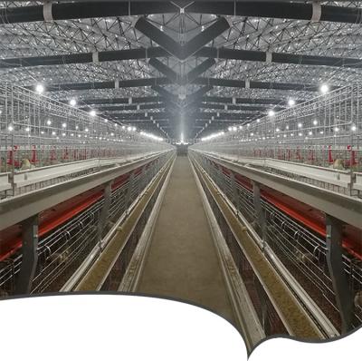 China Farm Broiler Cages Project for sale