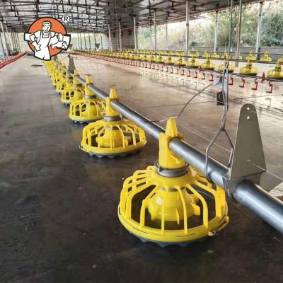 China The farm can be designed ground breeding system automatic breeding and drinking equipment for sale