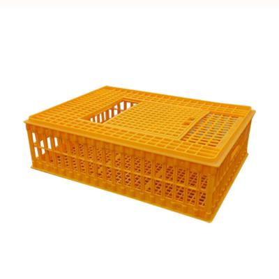 China Farms Wholesale Large Size Plastic Chicken Crate for sale