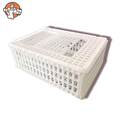 China Farms Fengmu SHF02-3 Cheap Plastic Sliding Door Duck Chicken Crates Chicken Transport Live Cage for sale