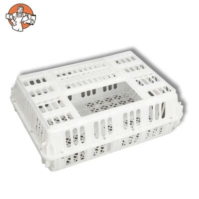 China Cheap Plastic Farms Fengmu SHF01T-6 Chicken Transport Cage Chick Transport Box For Live Poultry for sale