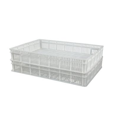 China Plastic Farms Poultry Hatchery Tray Egg Incubators Hatching Basket for sale