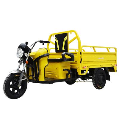 China Three Wheel Cargo Battery Car Pull Cargo Agricultural Adult Tricycle Electric Trike Express Household Electric Car New for sale