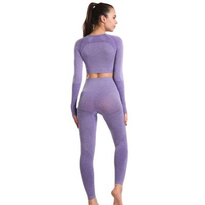 China Breathable Hot Selling Yoga Sets Womens Suit Long Sleeve Seamless Top Pants 2 Piece Yoga Suit Sets for sale