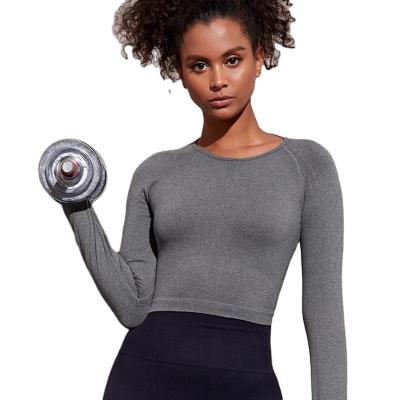 China Quick-Drying Breathable Workout Long Sleeve Breathable Yoga Sports Short T-Shirt Activewear With Thumb Hole for sale