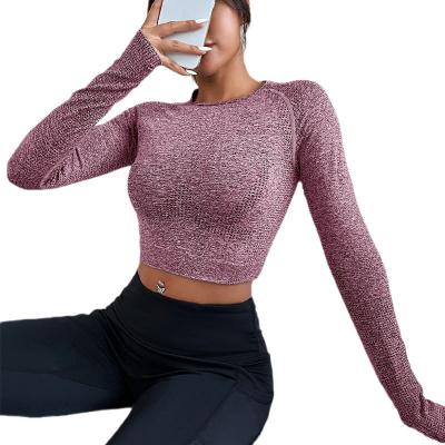 China Antibacterial Skin Women Sports Wear Long Sleeves Yoga Clothing Gym Wear Top Breathable Soft Material Quick Dry Antistatic Sports Shirts for sale