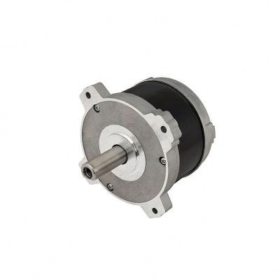 China Longbank BL10045 Series 660w Totally Enclosed 36v Brushless DC Motor For Garden Tools for sale