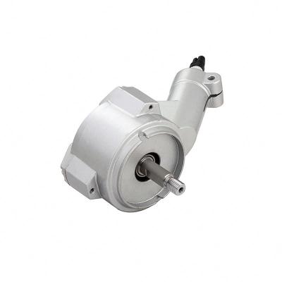 China Longbank BL7125 Series Totally Enclosed DC 36v 430w Brushless Motor For Household Power Tool for sale