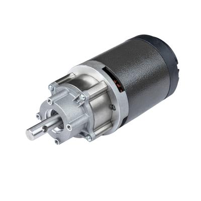 China Totally Enclosed DC Geared Motor Factory Price Home Appliances Slow Juicer DC Motor 220v for sale