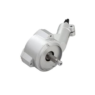 China Longbank DC 36V 430W 5800rpm Household Power Tool BLDC Totally Enclosed Brushless Motor for sale