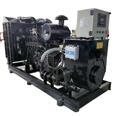 China Four Stroke Engine 250KW 312.5KVA Biomass/Biogas/Natural Gas Generator Alternative Energy Generators Te koop