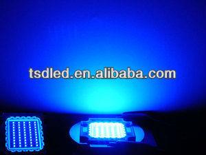 China Hot 420nm 430nm 440nm 450nm 460nm 30W 50w 100W super blue high power led chip for plant growth TW-HP50B for sale