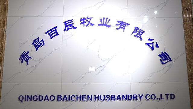 Verified China supplier - Qingdao Baichen Husbandry Co., Ltd.