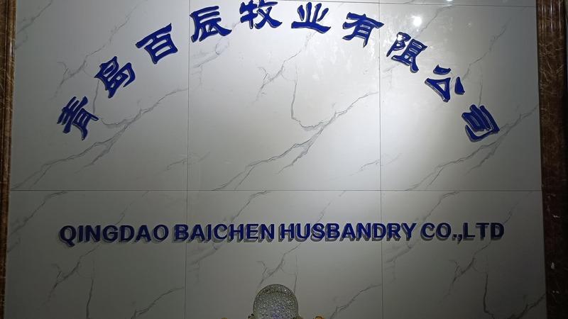 Verified China supplier - Qingdao Baichen Husbandry Co., Ltd.