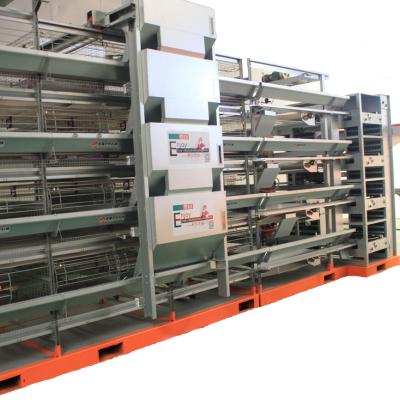 China Full Automatic PLC China Made Motor PLC Automatic Layer Chicken Cage Chicken Layer Cages Poultry Chicken Cages Layer for sale