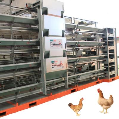 China 2021 new style PLC motor automatic pultry collection eggs full automatic pump control and packaging egg collection system for sale