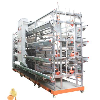 China 2021 Full Automatic New Product Automatic Pullet Cage For Quail Pullet Raising Chick Cages Chicken Baby Machine for sale