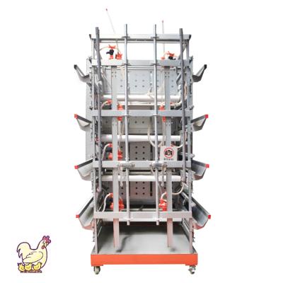 China Low Price Full Automatic Chick Brooder Cage Baby Chicken Battery Layer Chicken Cage Pullet Cage For Chicken for sale