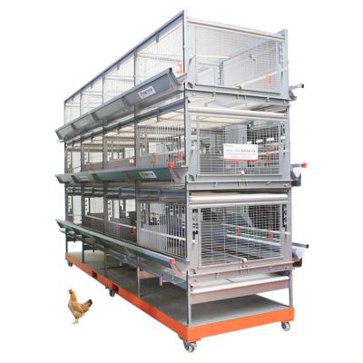 China Complete Automatic Chicken Cage Breeding Egg Breeder Cages For Canary Bird for sale