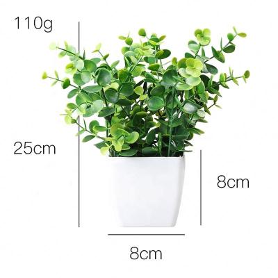 China PE Amazon moss set bonsai border office plastic potted bluegrass plant simulation eucalyptus green plant plastic potted plant for sale