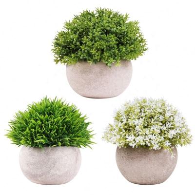 China PE Foam Amazon Pulp Pot Green Plant Explosive Semicircular Potted Baby Tears+Short Needle Grass Bonsai 2 Styles 3 Sets for sale