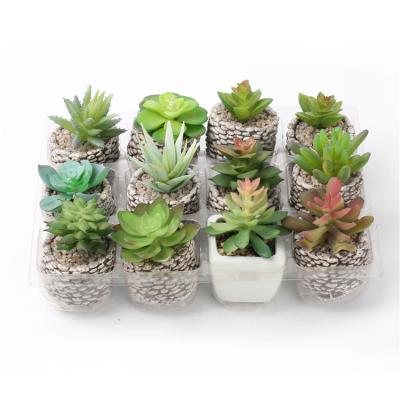 China Modern Season Custom Cactus Plants Succulent Potted Artificial Plant for sale