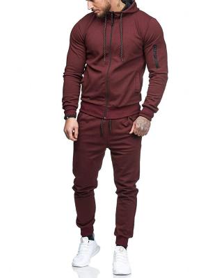 China Dropshipping Breathable Sports Track Custom Pants Logo Casual Two Piece Suit Set Mens Jogger Hoodie Set for sale