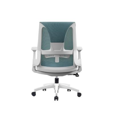 China Best Swivel Design Computer Mesh Adjustable Executive Comfort Lumbar Support Ergonomic Office Chairs (Height) for sale