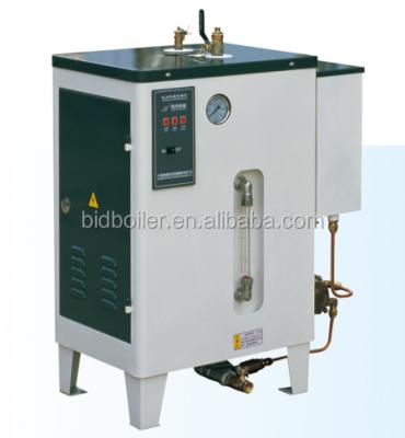 China VERTICAL Electric Home Mini Steam Boiler for sale