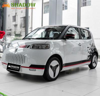 China New Model Great Wall Ora White Cat Family Leather Hot Selling Electric Hatchback Used Electric Cars for sale