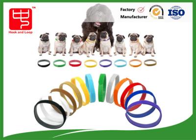 Chine Les colliers d'identification de chiot amincissent le crochet et font une boucle des courroies pour l'animal familier de chien, couleur distinguent à vendre