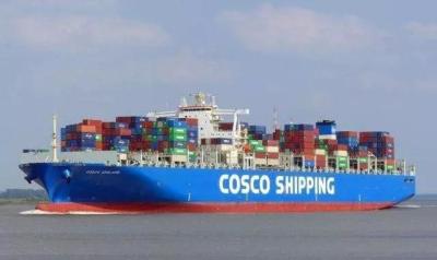 China Shipping Agent in China to Koper for sale