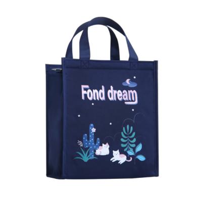 China Waterproof Thickened Portable Thermal Lunch Box Bag Aluminum Foil Lunch Bento Bag for sale