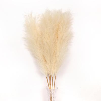 China Cheap pampas grass eco-friendly boho wedding burgundy artificial plants faux pampas grass home decor fake pampas grass for sale