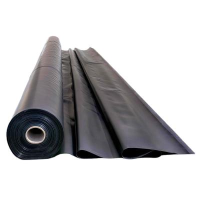 China Modern Customized Easy To Use Breathable Non-combustible Color HDPE Geomembrane Pond Liner for sale