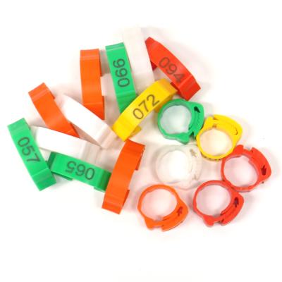 China Geshifeng Plastic Multi-Size Adjustable Chicken Foot Rings Number No.001-100 Poultry Buckle Ring Duck Goose Leg Digital Rings for sale