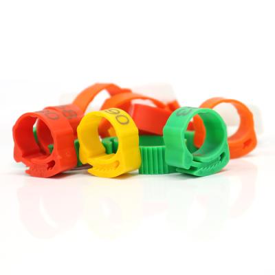 China Geshifeng Plastic Adjustable Chicken Foot Rings Customized No.001-100 Name Poultry Buckle Ring Duck Goose Leg Digital Rings for sale