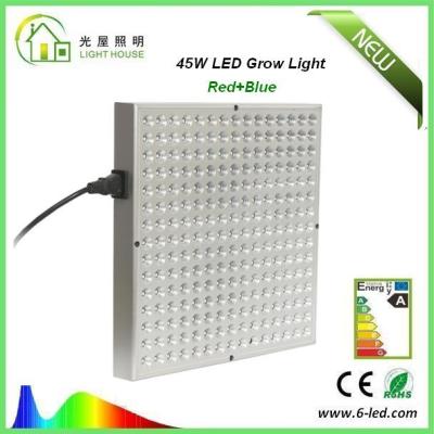 중국 SMD2835 직업적인 LED 패널은 야채와 꽃을 위한 가벼운 PAR38를 성장합니다 판매용