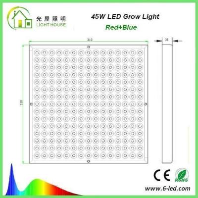 중국 8W Hydroponic 파랗고/빨강 LED는 성장하고 있는 식물을 위해, 보장 3 년 실내에 점화합니다 판매용