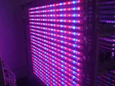 China 14 Watt Hydroponic LED Tube Grow Lights Blue / Red Light Source , Dia26*900mm for sale