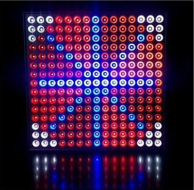 China 45 Watts Grow Light Hydroponic LED Grow Light 35W Square Panel With Color Red & Blue for sale