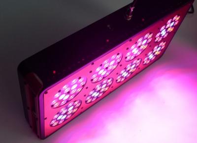 China 350W Power Hydroponic LED Grow Light Full Spectrum For Medical Plants for sale