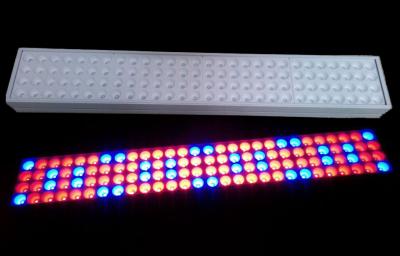 China 50 W SMD LED Tube Grow Lights 900mm Length With 50～60Hz Frequency for sale