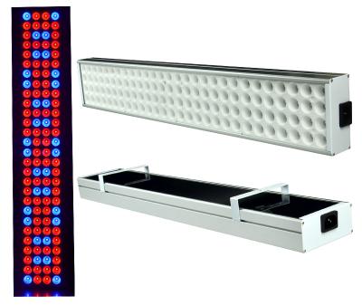 China El tubo rojo del LED crece luces 45 vatios con el microprocesador de Bridgelux Epistar, Eco amistoso en venta